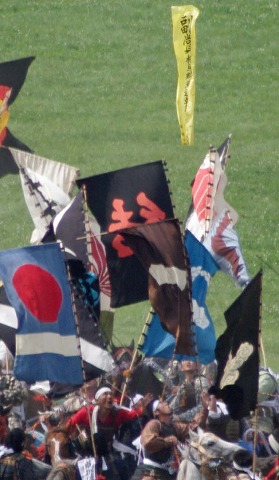 IMGP0290cas.jpg