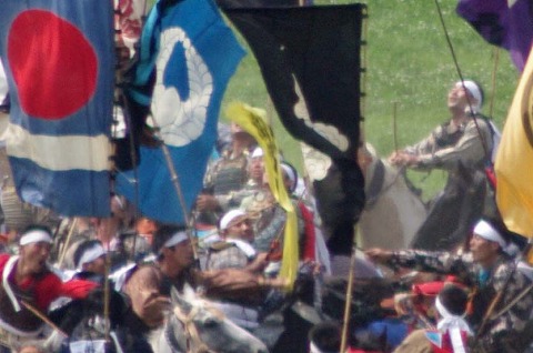 IMGP0292cas.jpg