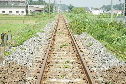 IMGP9989.jpg