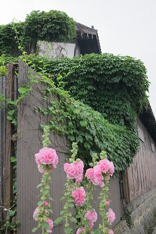 IMG_0144.jpg