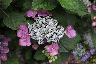 IMG_0255.jpg