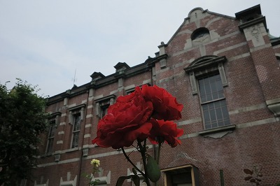 IMG_0285.jpg