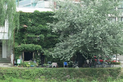 IMG_0288.jpg