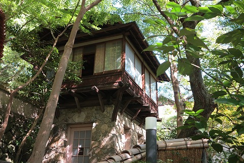 IMG_0314_20121008101346.jpg