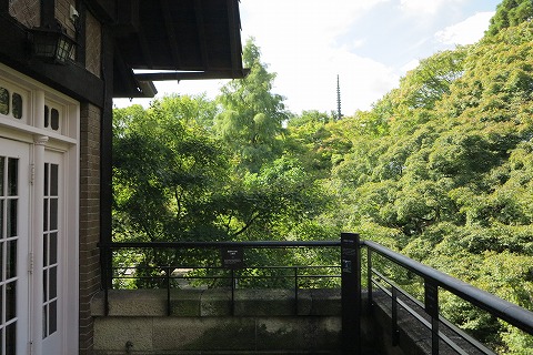 IMG_0337.jpg