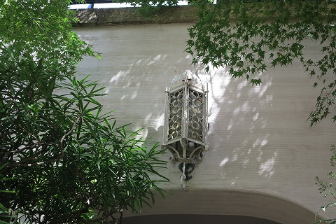 IMG_0349_20121008101159.jpg