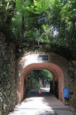 IMG_0356_20121008101637.jpg