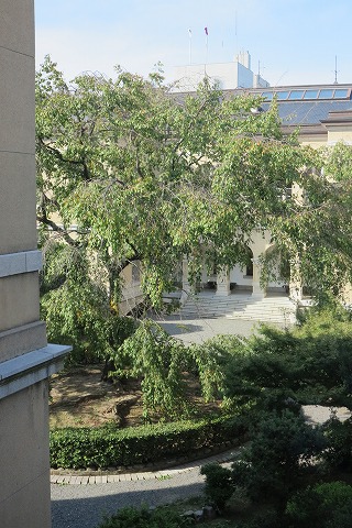 IMG_0389_20121013090326.jpg