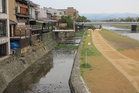 IMG_0419_20121020071345.jpg