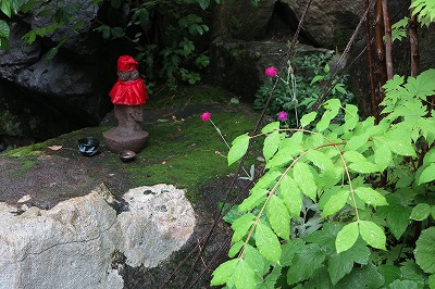IMG_0437.jpg