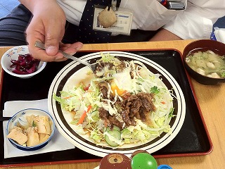 IMG_0516mo.jpg