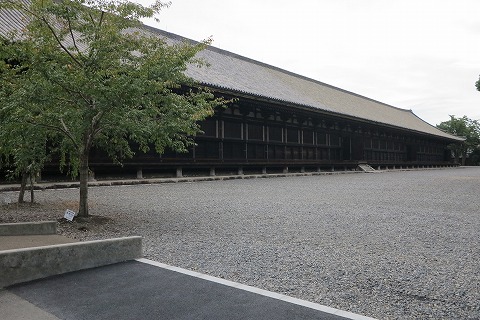 IMG_0557_20121021175327.jpg