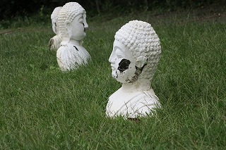 IMG_0571.jpg