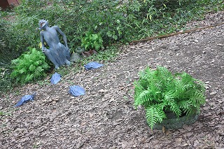 IMG_0579_20121022064433.jpg