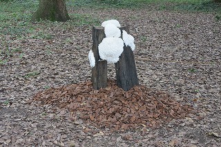 IMG_0590.jpg