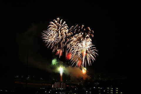 IMG_0795.jpg
