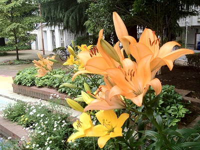 IMG_0843.jpg