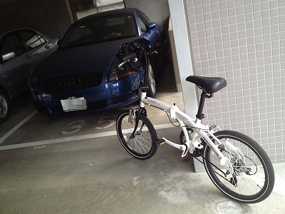 IMG_1240mo.jpg