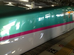 IMG_1547.jpg