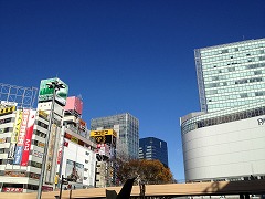 IMG_1628.jpg