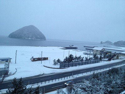 IMG_1848.jpg