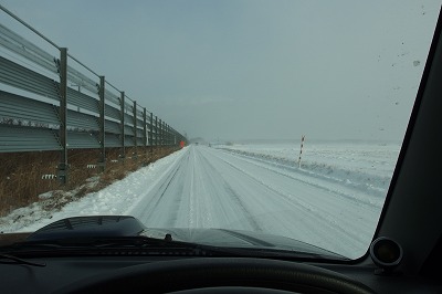 P1010937.jpg