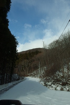 P1010951.jpg