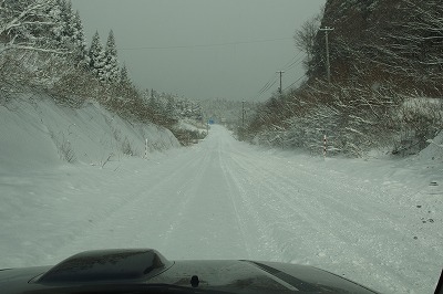 P1010974.jpg