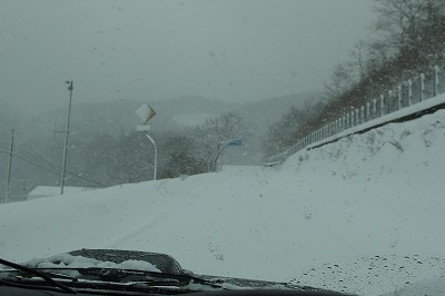 P1021075.jpg
