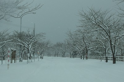 P1021078.jpg