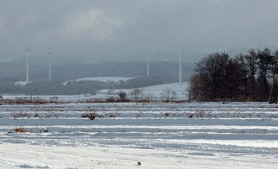 P1021080cas.jpg