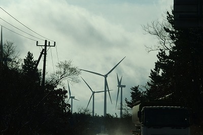 P1021091.jpg