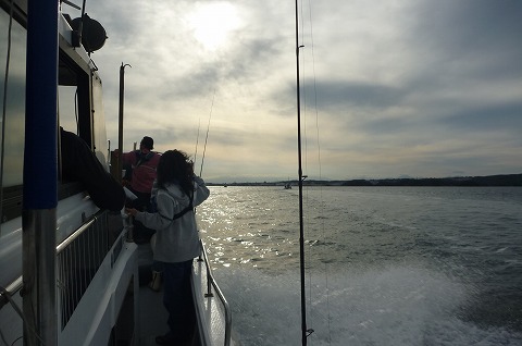 P1030803_20121014183129.jpg