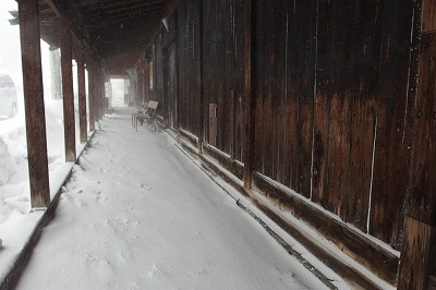 P1031154.jpg