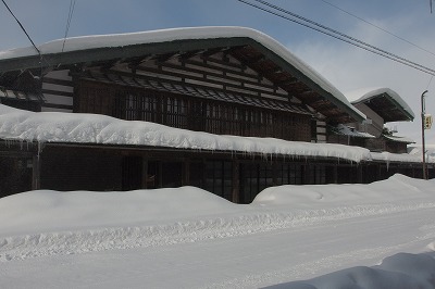 P1031197.jpg