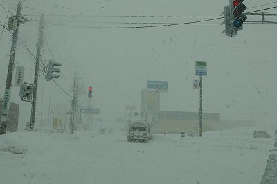 P1031211.jpg