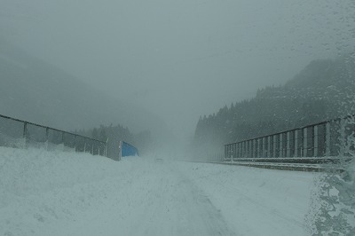 P1031231.jpg