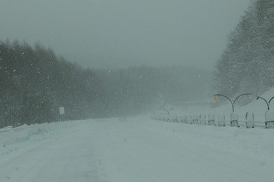P1031236.jpg
