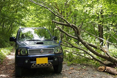 P6230333e.jpg