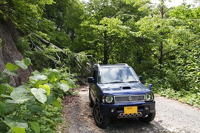 P6230336e.jpg