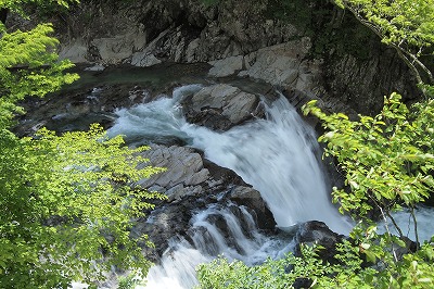 P6230355.jpg
