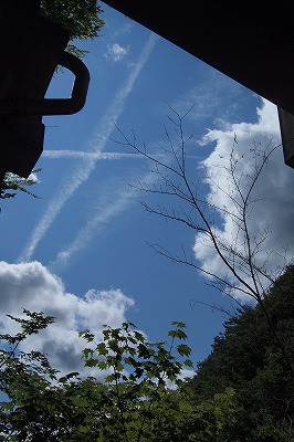 P6230362.jpg