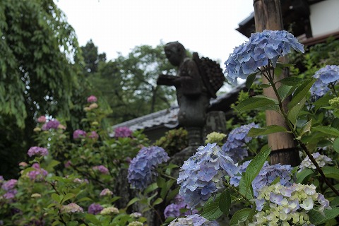 P7080464.jpg
