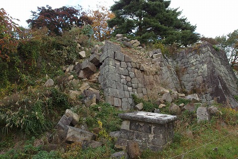 PB030032.jpg