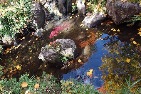 PB030087.jpg
