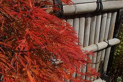 PB030111.jpg
