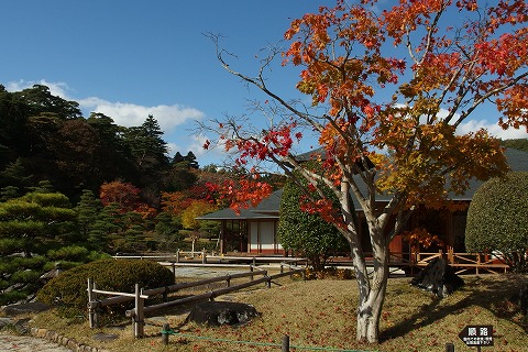 PB030114.jpg