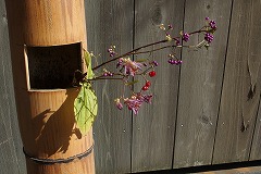 PB030116.jpg