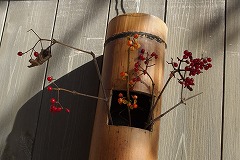 PB030117.jpg