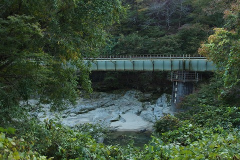 PB030146.jpg